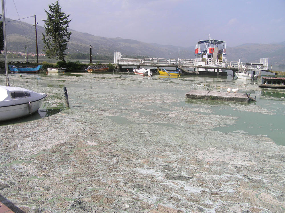 Η λίμνη της Καστοριάς, στη χειρότερη, ίσως, κατάστασή της, πλημμυρισμένη από τοξικές ουσίες