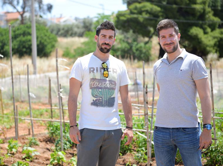 Οι Χρήστος Λαφτσής και Νίκος Κατρής, γεωπόνοι στον Δήμο Αμαρουσίου, «ευθύνονται» για την καθοδήγηση των καλλιεργητών