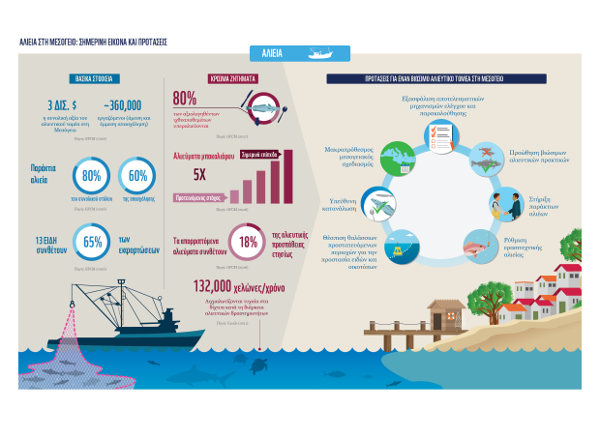 Infographic_Fisheries_MedReport_27092017