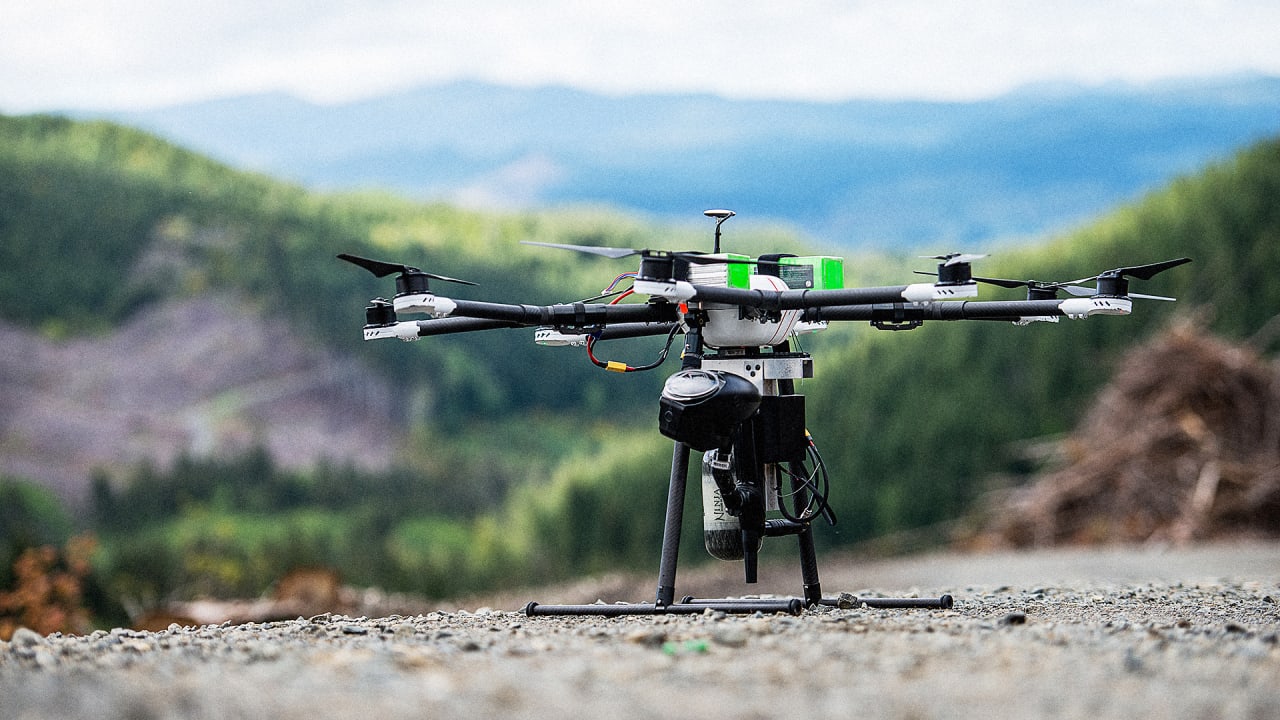 Drones για αναδάσωση και επιτήρηση καμμένων περιοχών (φωτο) | Green Agenda